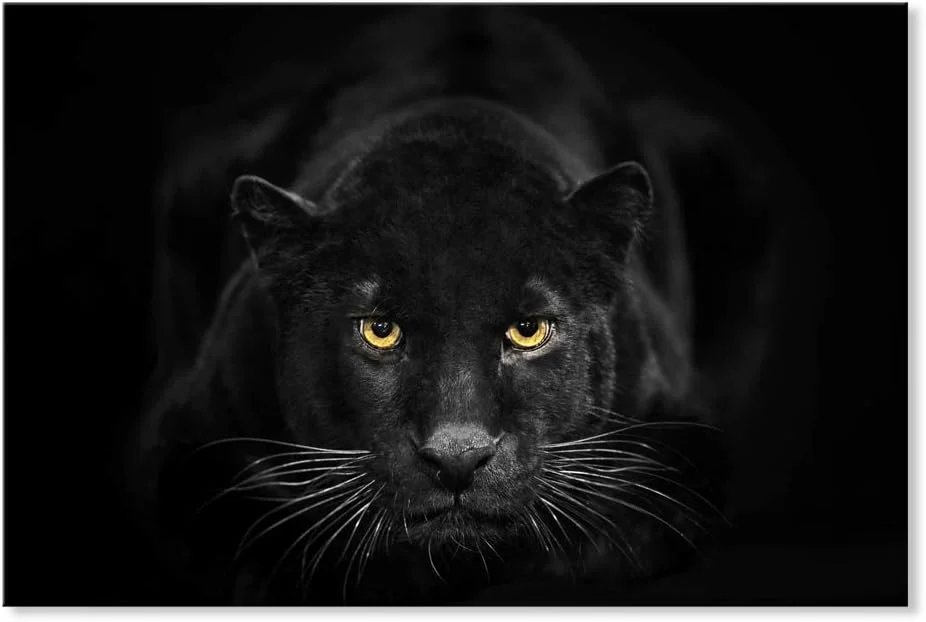 SEVEN WALL ARTS Black Panther Canvas Wall Art Black and White Wildlife Animal Painting Pictures Poster Print Modern Leop