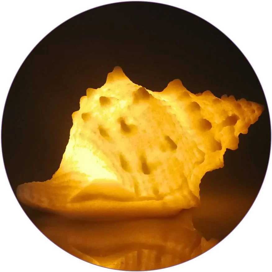 GREENIC Portable Conch Shell Beach Themed Night Light w Timer for Kids Adults Bedroom Nightstand Lamp Nautical Lighting