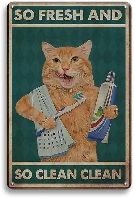 Cat Bathroom Wall Decor Cat Signs Gifts for Cat Lovers, Orange Cat Brushing Teeth And Washing Face Bathroom Decor Weird