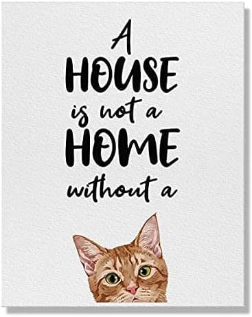 Wayfare Art, A House is Not A Home Without A Orange Tabby Cat Canvas Prints Artwork Wall Art Poster for Home Office Livi
