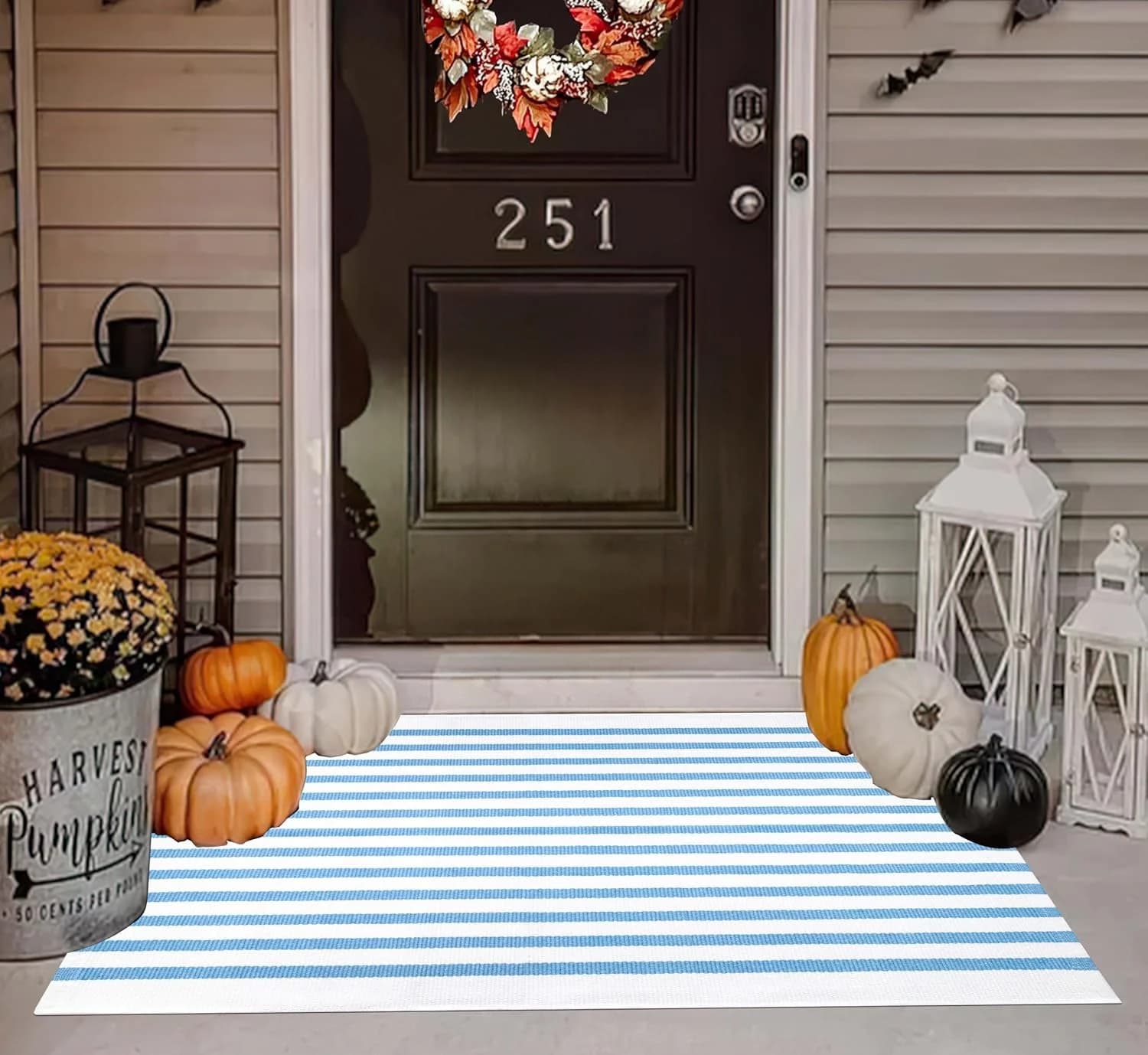 Striped Area Rug 27.5"x43",Light Blue and White Farmhouse Door Mat Outdoor
