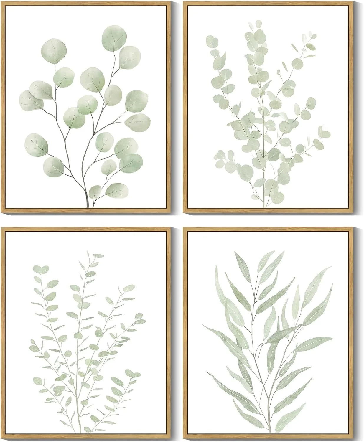Drsoum Botanical Plant Framed Wall Art Boho Wall Decor for Bathroom Sage Green Eucalyptus Leaf Prints Minimalist Aesthet